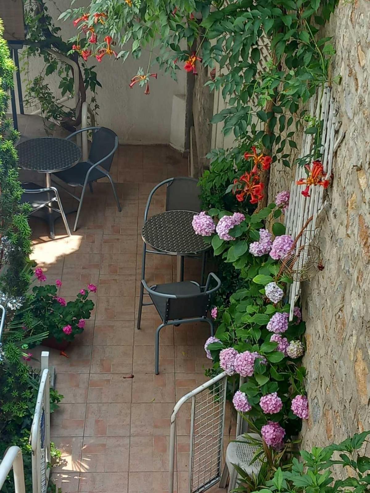 Vila Kosta City Center Port Ochryda Zewnętrze zdjęcie